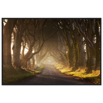 008818ef-ae48-437b-bd39-3621deb9b53e