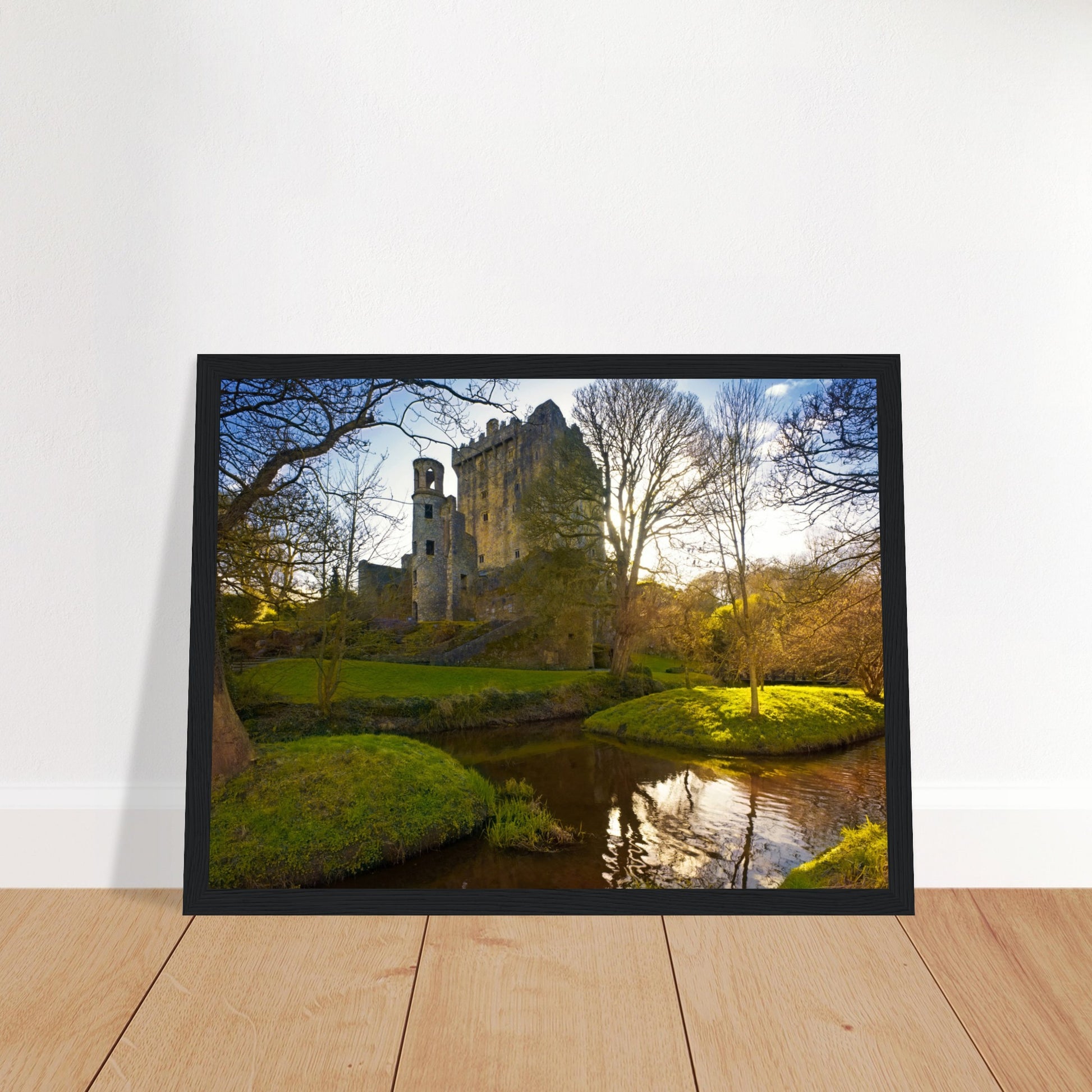 Blarney Castle framed print: Iconic Irish fortress, home to Blarney Stone. Meticulously crafted, transports you to historic grounds where myths intertwine. Delightful addition to home decor, bringing Ireland's spirit. Immerse in Blarney Castle's magic.