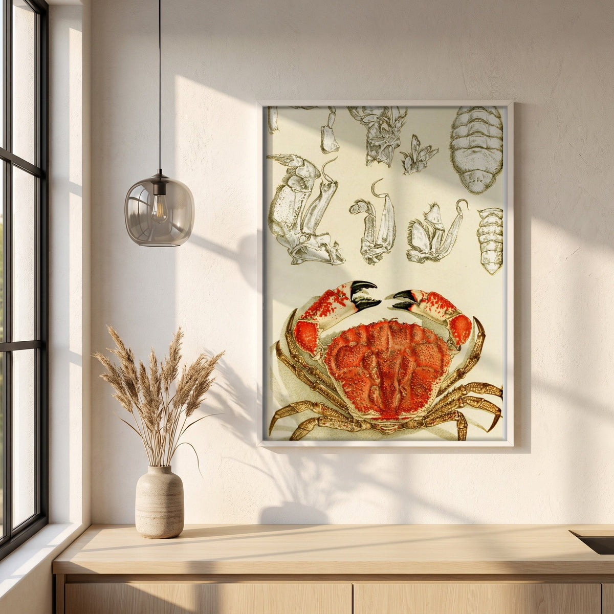 Crustacea III by Frederick McCoy framed print in a white frame on a plaster wall above an oak worktop in a bright Scandinavian kitchen
