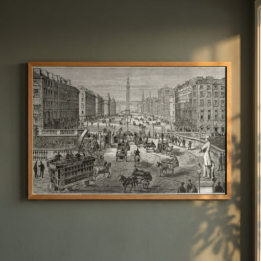 Dublin Old View 1882 framed print in a natural oak frame on a dark green wall beside a window, dappled plant shadow