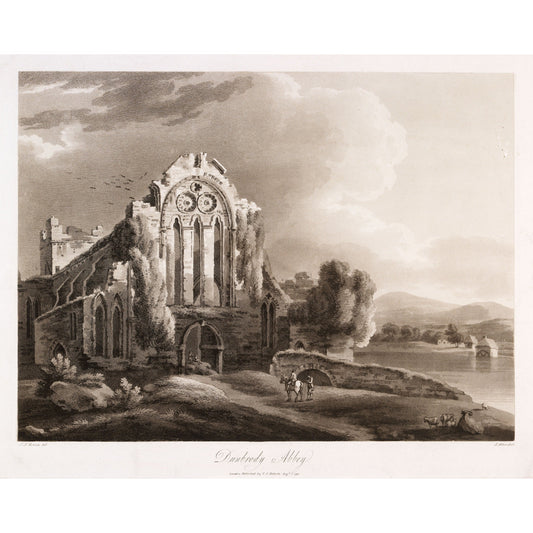 Dunbrody Abbey, Co. Wexford, 1796 aquatint by Thomas Sautelle Roberts, engraved by Samuel Alken - vintage Irish art print