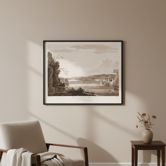 West View of the City of Waterford 1795 aquatint by Thomas Sautelle Roberts displayed in a refined Irish home interior